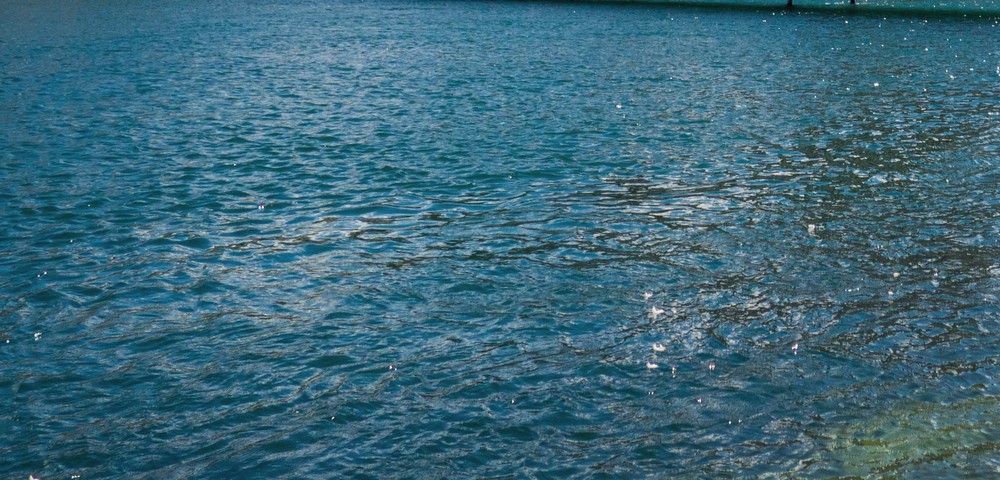 Still water holding the light.
